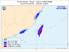 “桦加沙”移入巴士海峡 广东全面敏捷进入临和