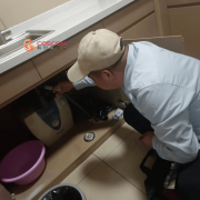 2025年12月无害生物防治保举：系统化防护室第贸